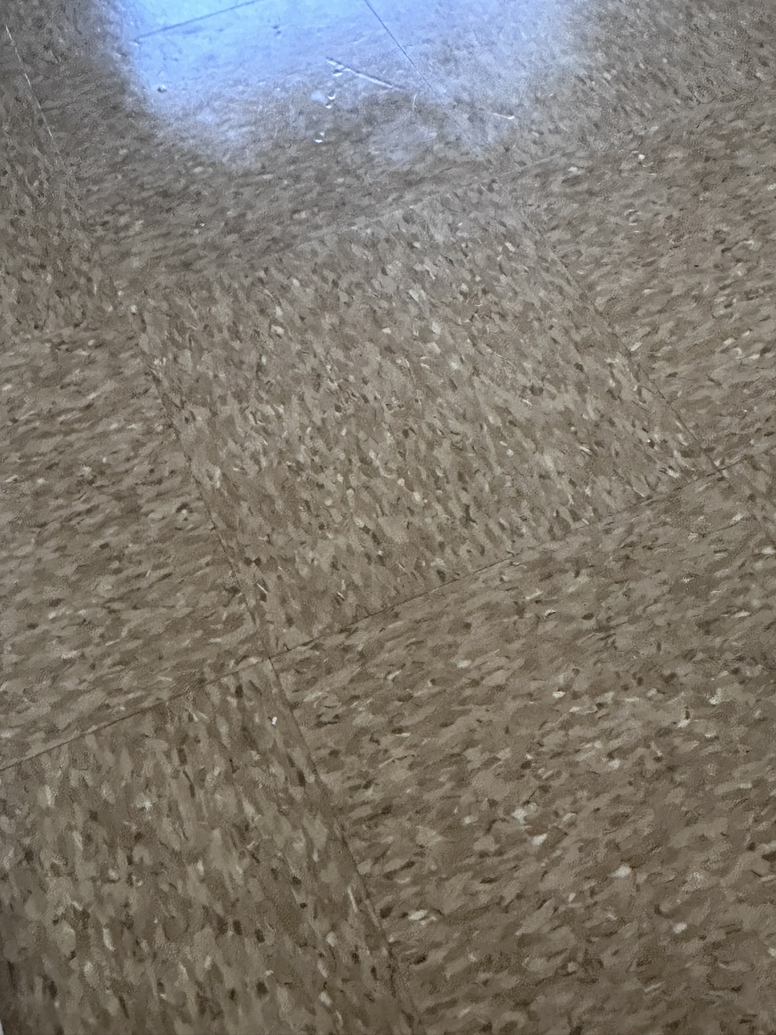 Close-up of restored VCT finish after strip and wax service