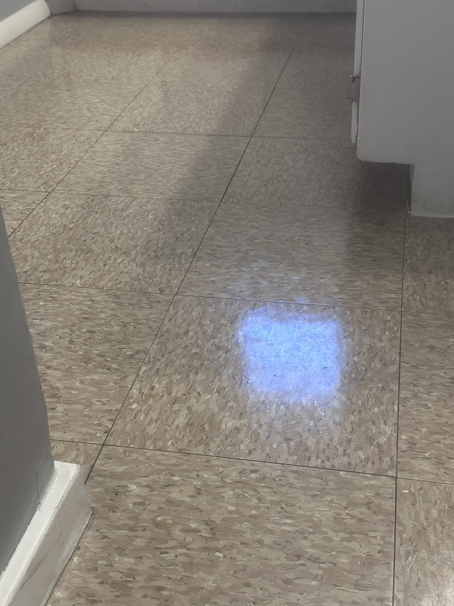 Hallway VCT flooring after commercial floor restoration
