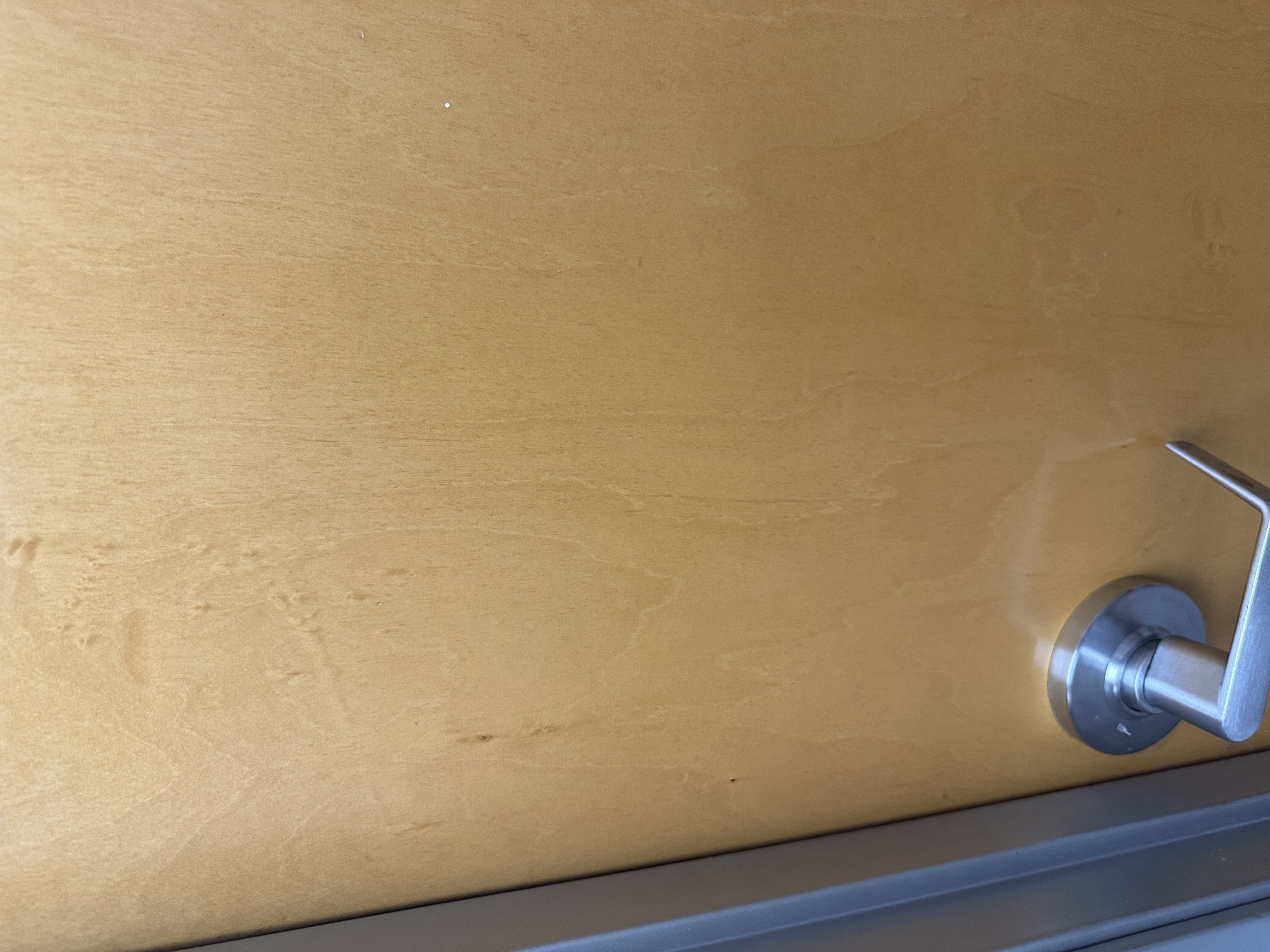 Commercial office door after professional detailing and removal of surface dirt and scuff marks