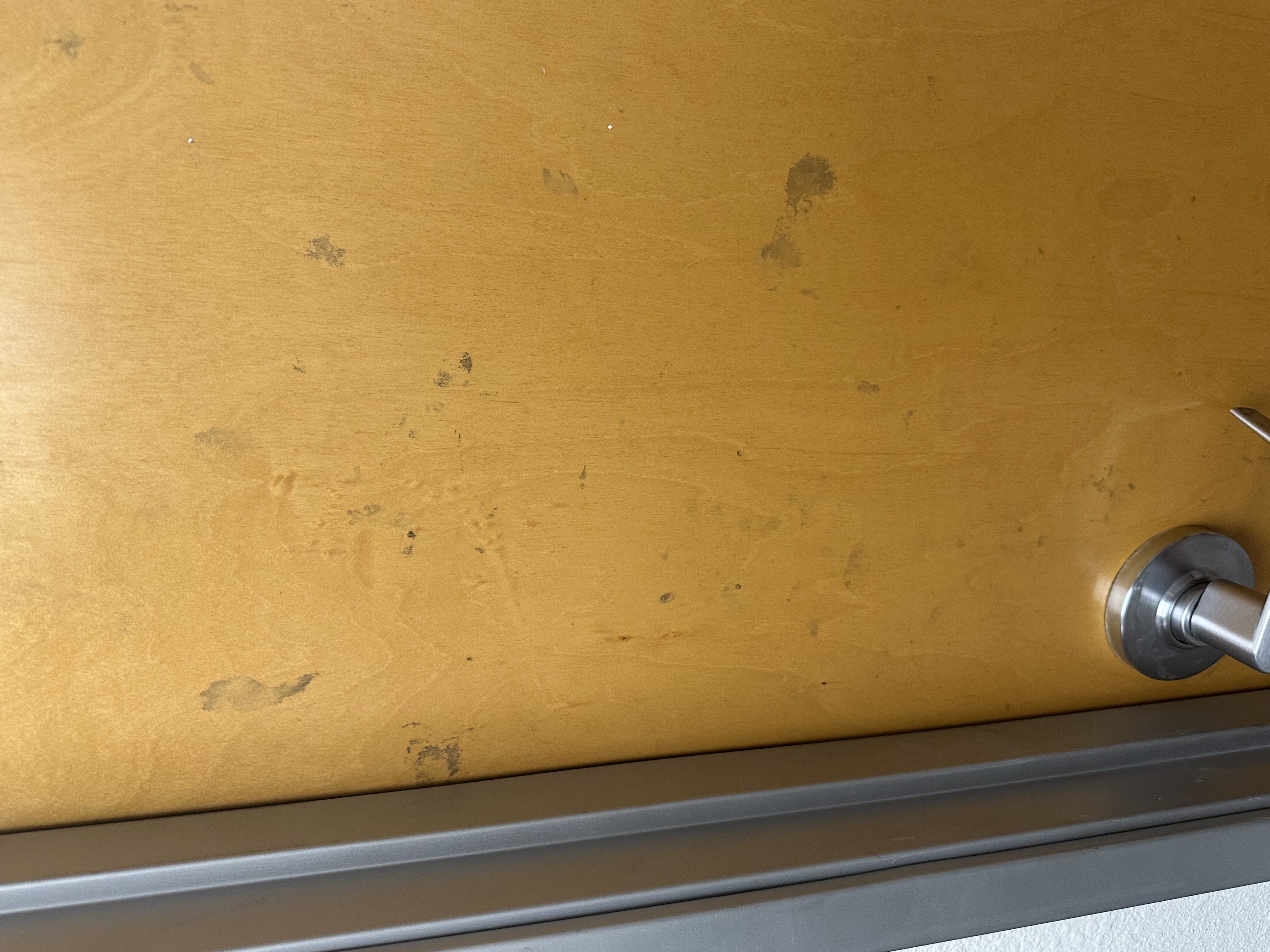 Commercial office door before detailing with visible dirt, fingerprints and scuff marks