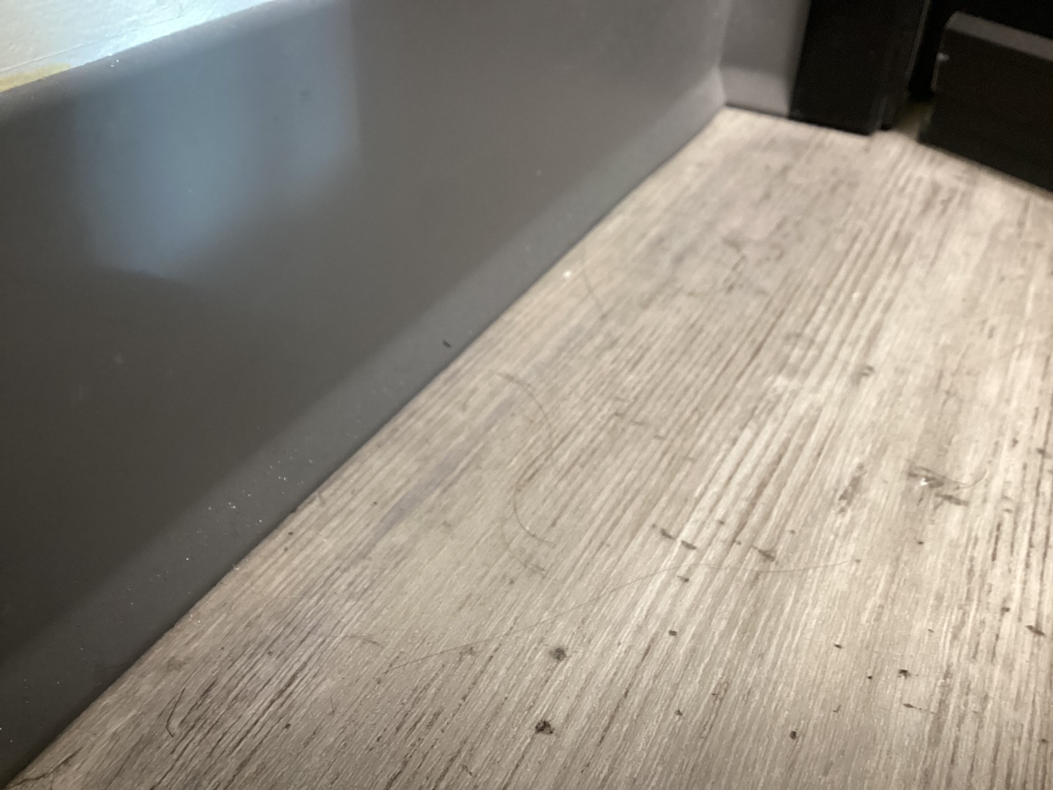 Hair and small debris along medical office floor edge before detail cleaning