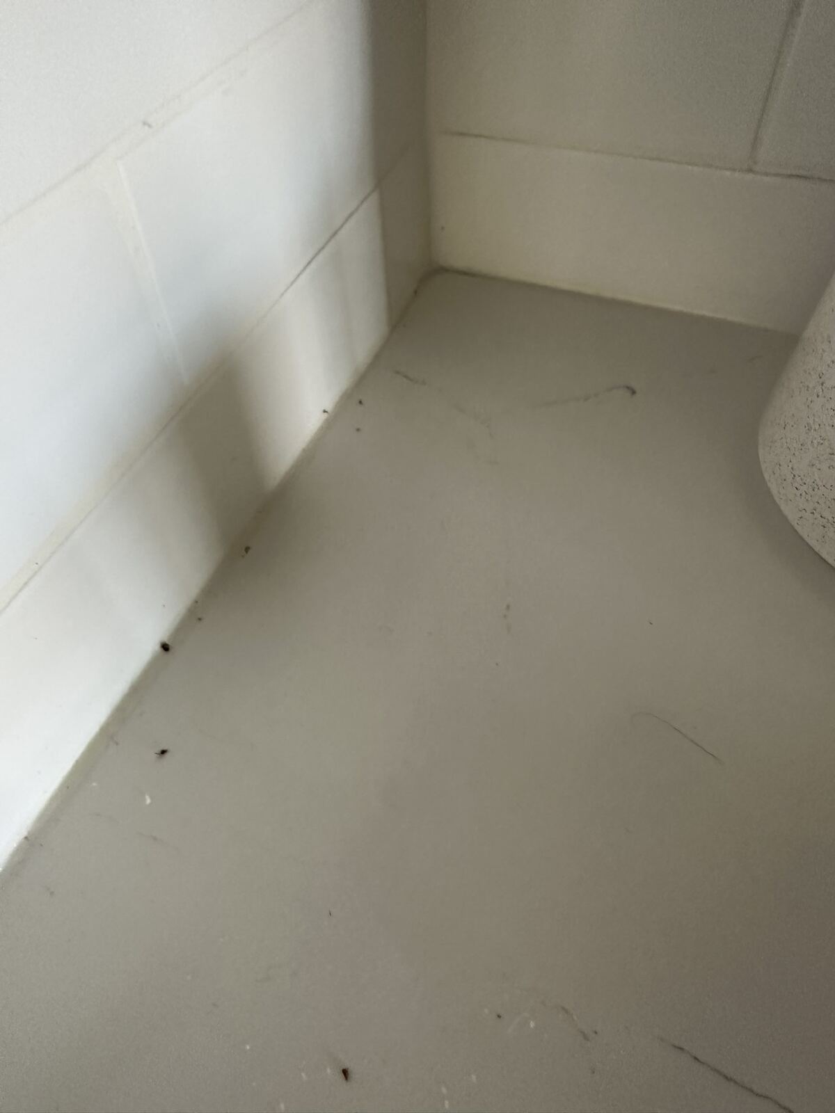 Hard-to-reach floor area checked during vacation rental cleaning