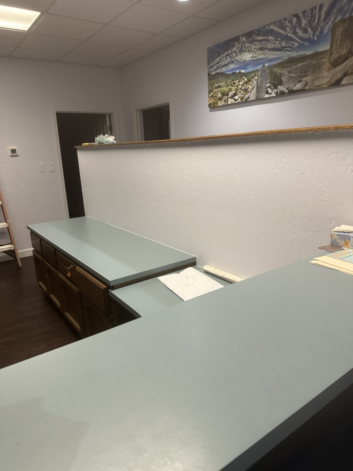 Front reception counter and partition in a Tempe Arizona office