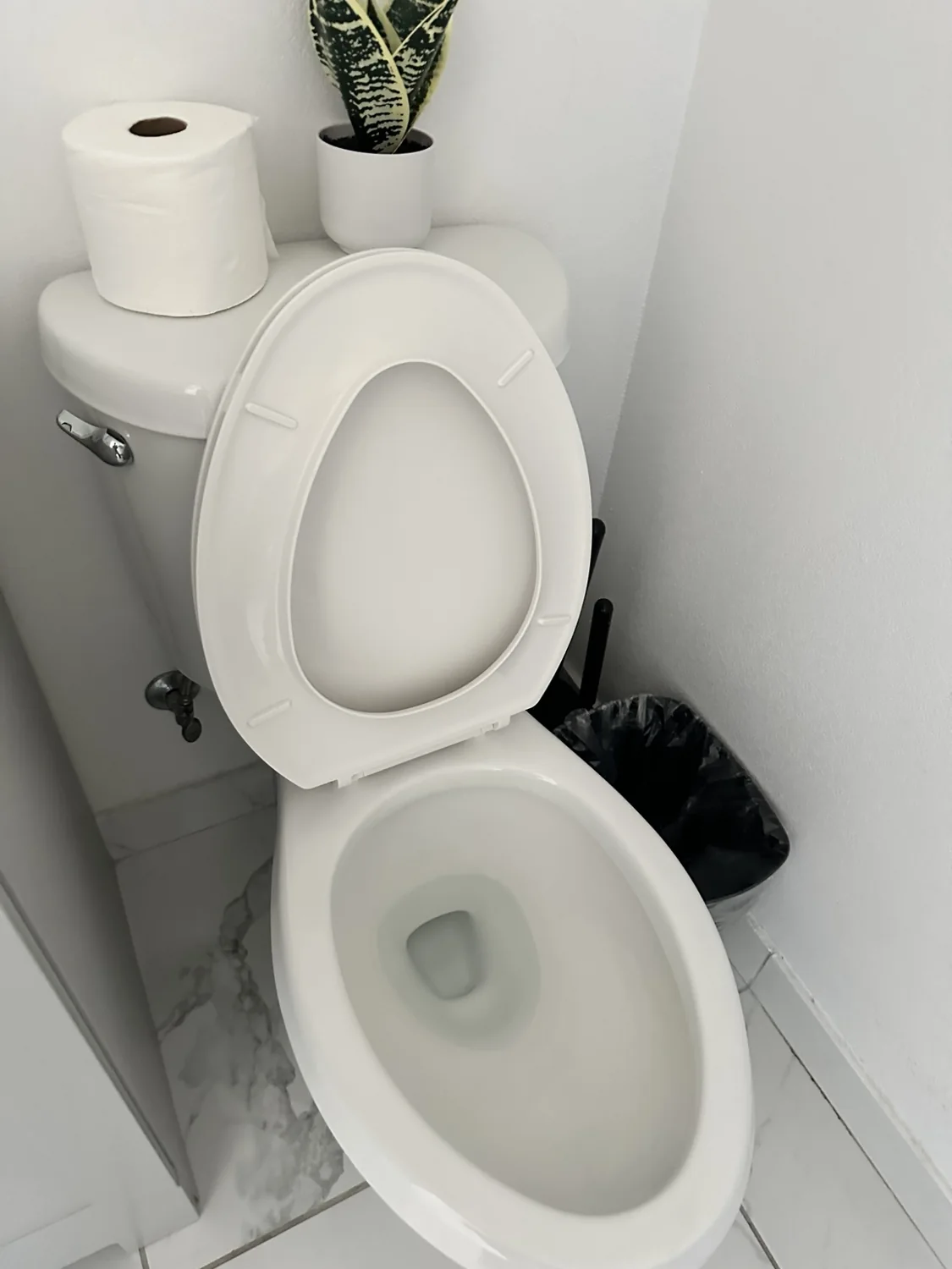 Clean toilet with spare toilet paper and lined wastebasket